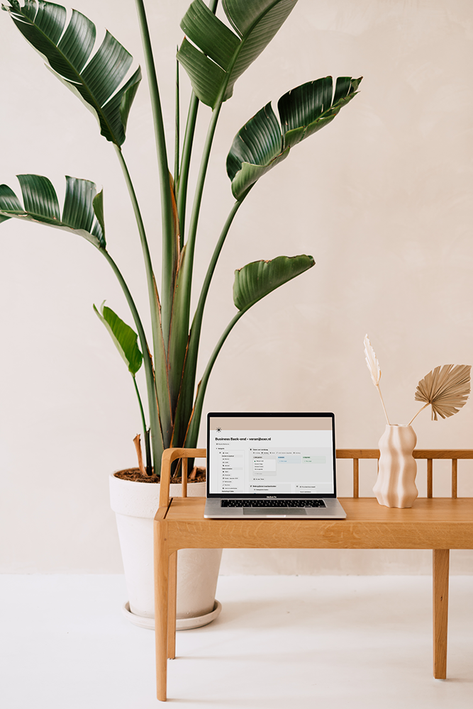 Notion Business Back-end